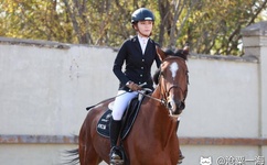 中国成熟妇女毛绒绒